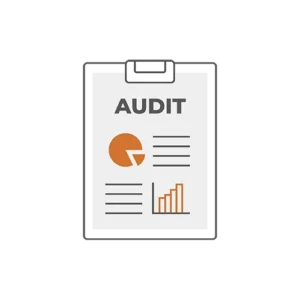 nrv picto analyse et stratégie audit stratégique interne
