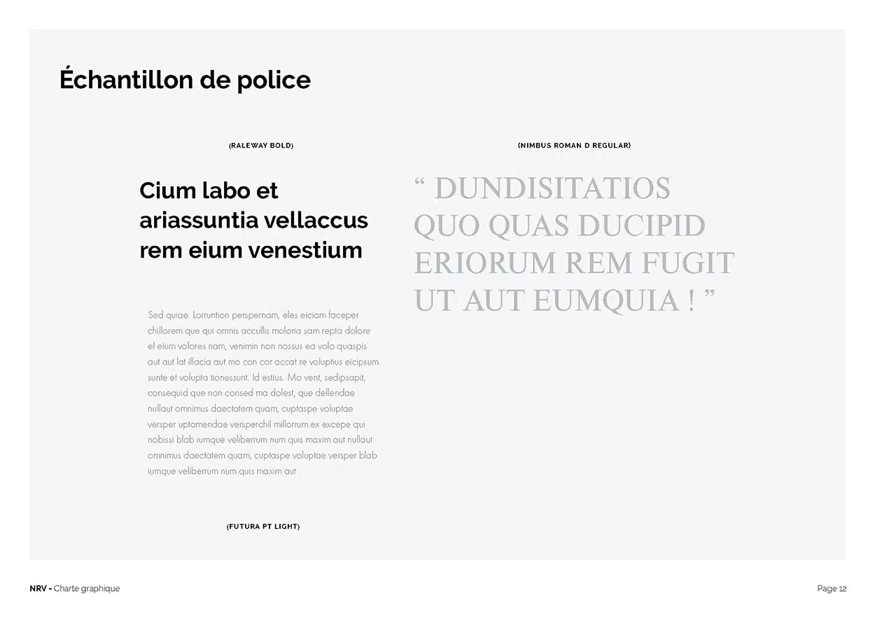 échantillon de police