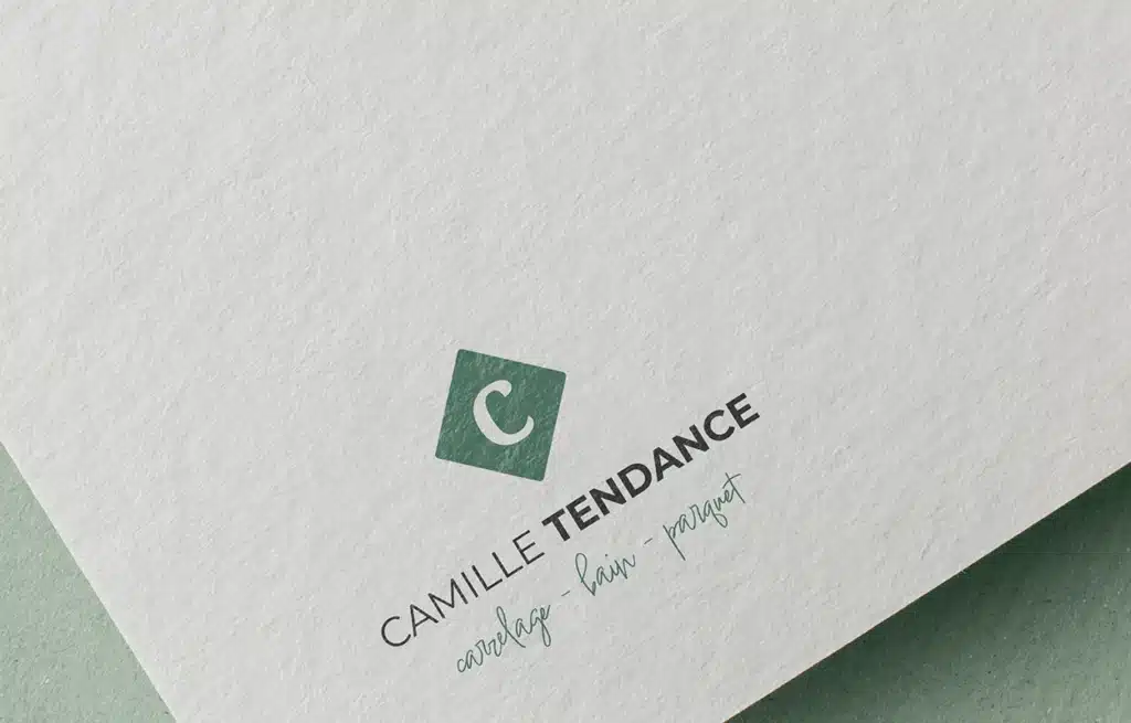 network reach visibility charte graphique02 CAMILLE TENDANCE