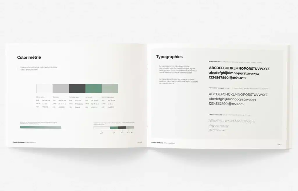 network reach visibility charte graphique04 CAMILLE TENDANCE